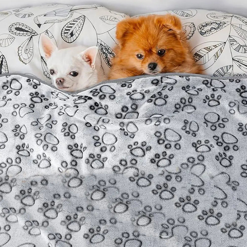 Hunde Decken