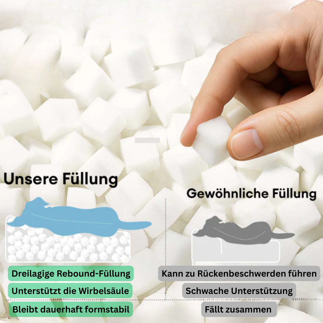 Sigmo – Das orthopädische Hundebett für mehr Lebensfreude