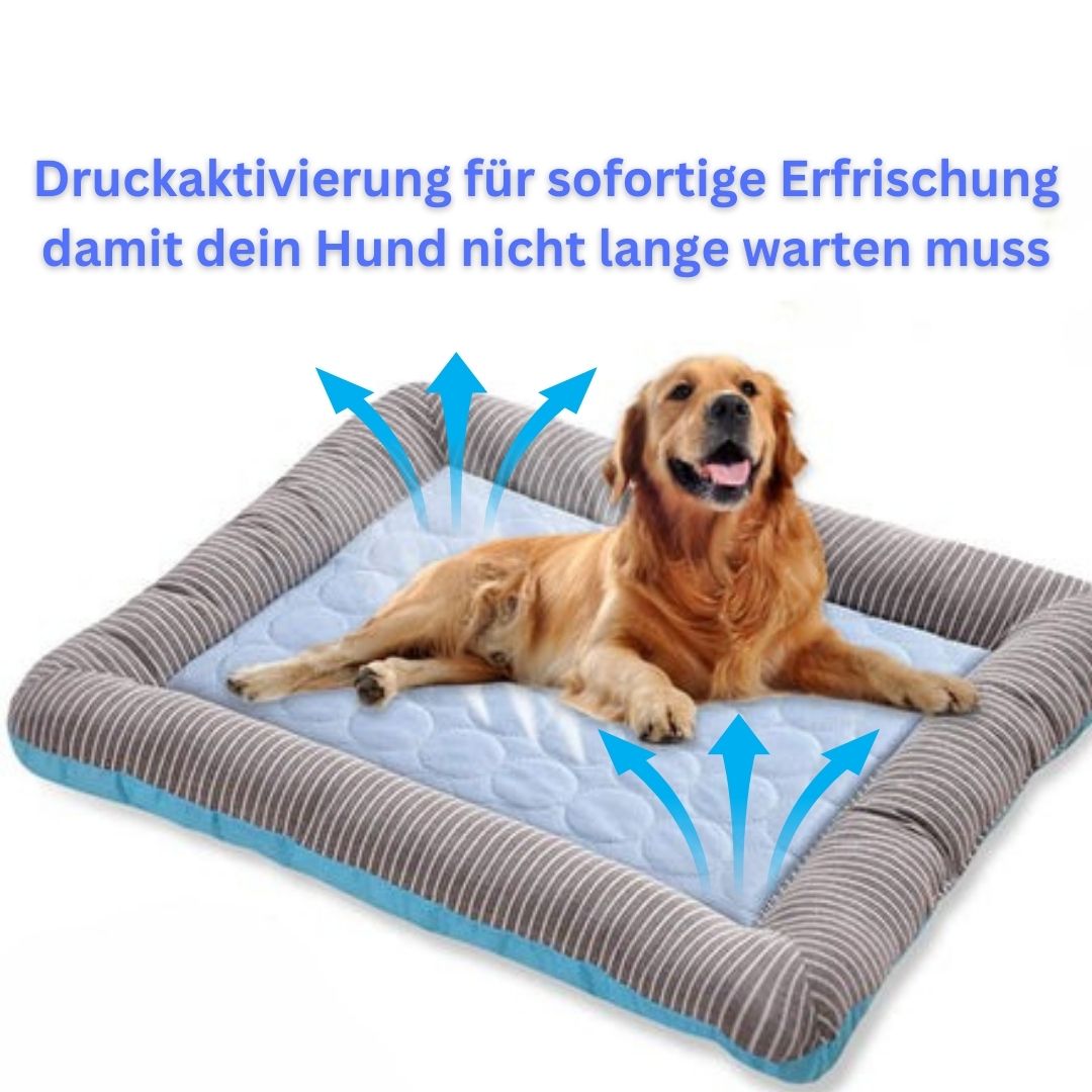 ArcticDreams – Die perfekte Abkühlung für deinen Vierbeiner