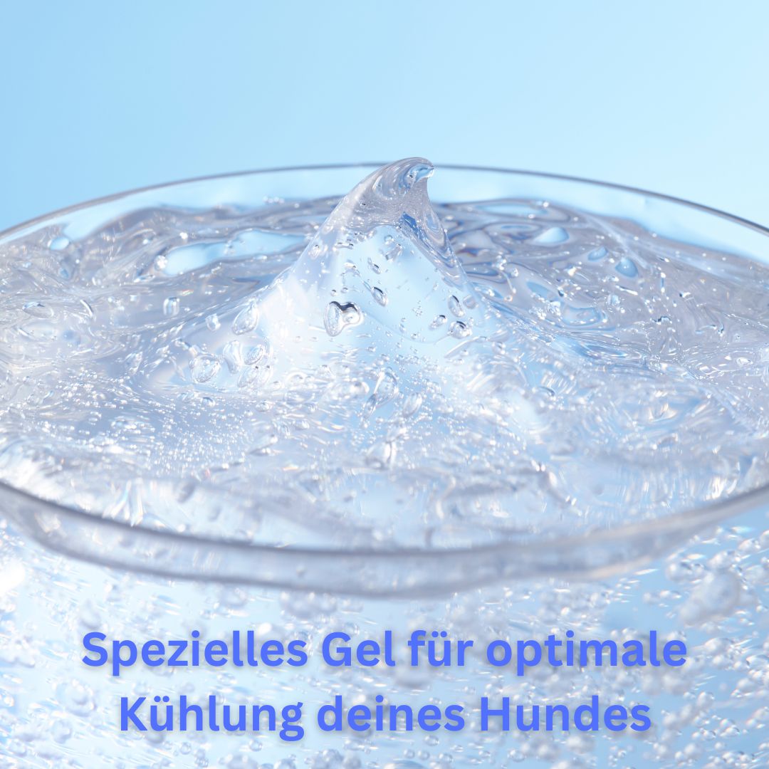 ArcticDreams – Die perfekte Abkühlung für deinen Vierbeiner