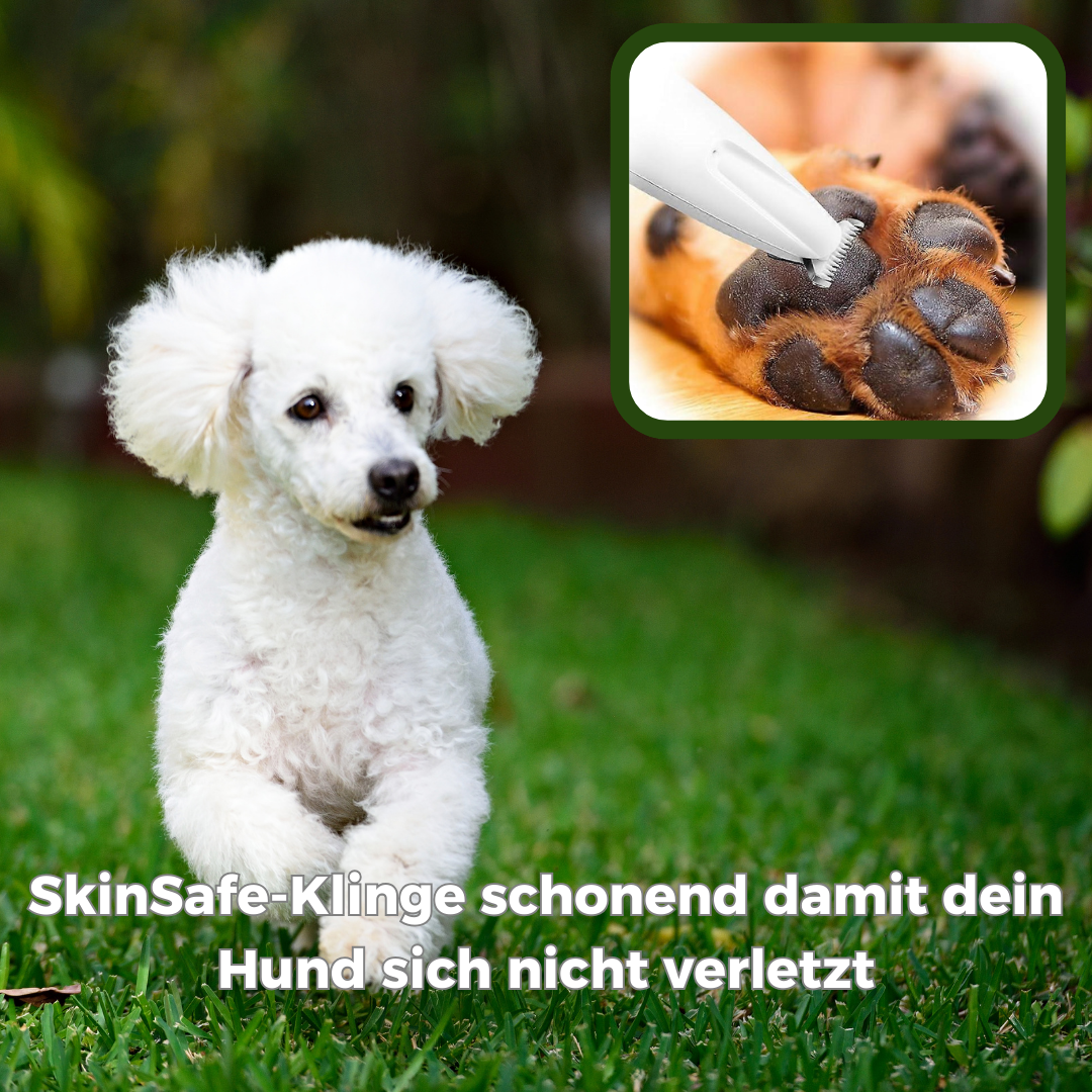 PawTrim - Schmerzfreie Pfotenpflege in Sekundenschnelle