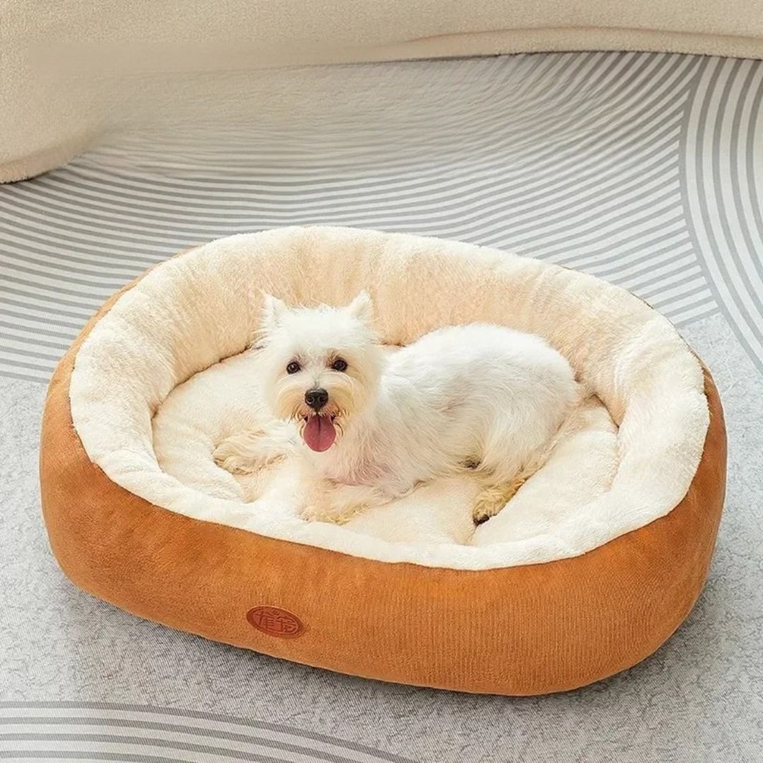 Molly – das Hundebett für süsse Träume