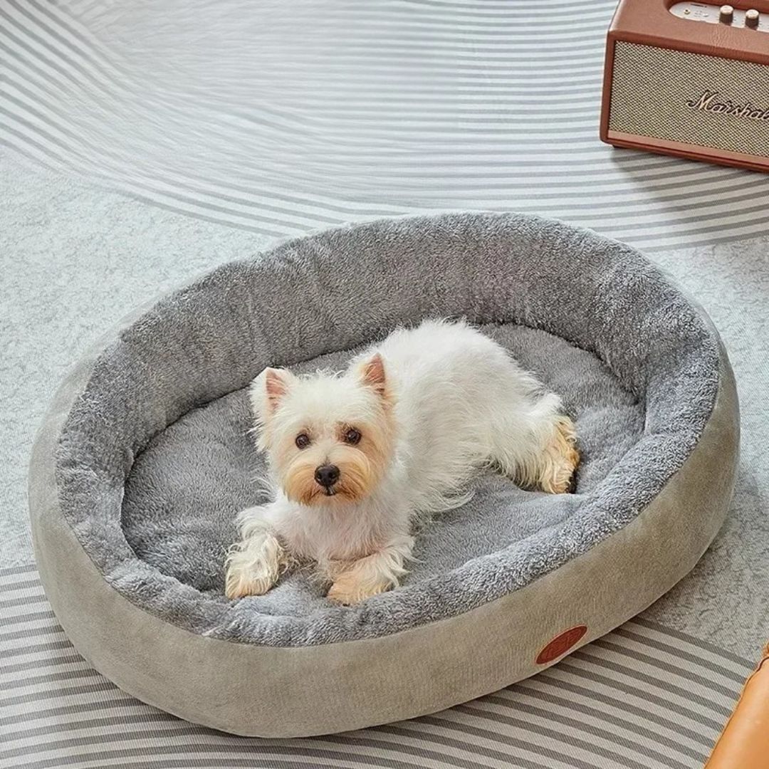 Molly – das Hundebett für süsse Träume