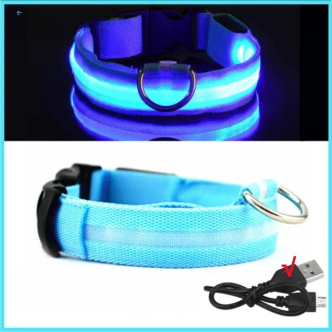 Wächterlicht Hundehalsband – LED, wasserdicht, verstellbar für alle Hundegrössen