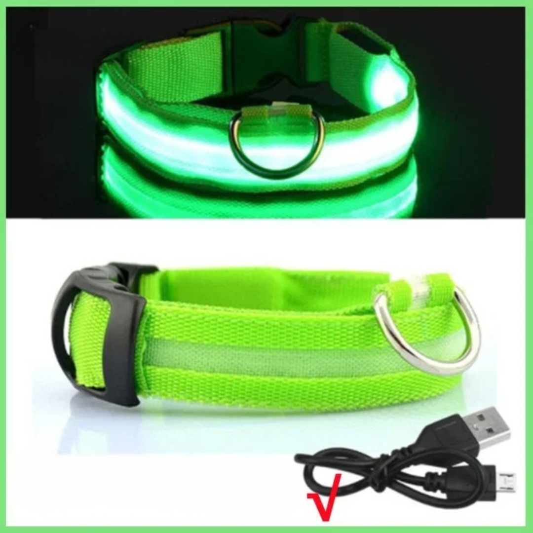 Wächterlicht Hundehalsband – LED, wasserdicht, verstellbar für alle Hundegrössen