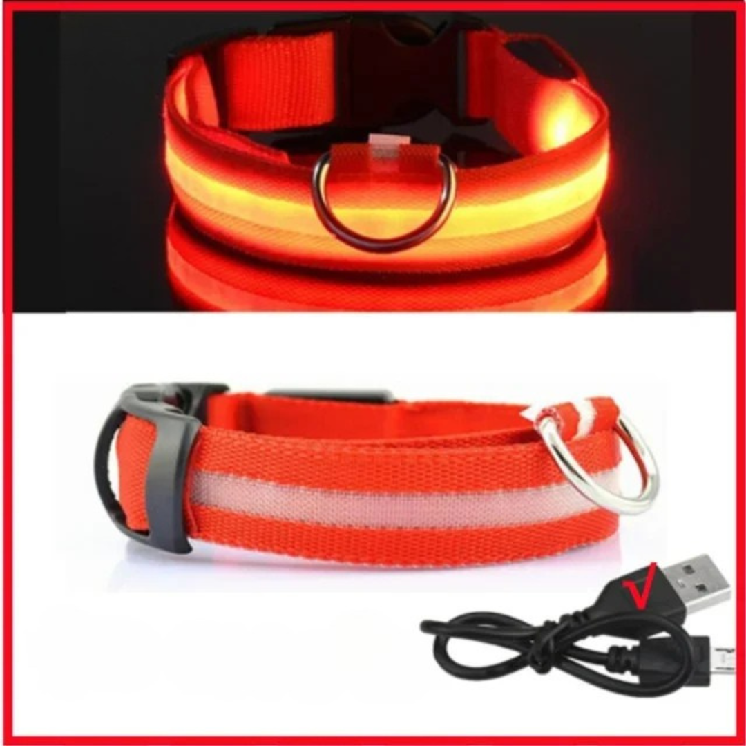 Wächterlicht Hundehalsband – LED, wasserdicht, verstellbar für alle Hundegrössen