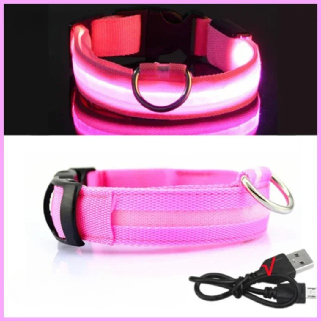 Wächterlicht Hundehalsband – LED, wasserdicht, verstellbar für alle Hundegrössen