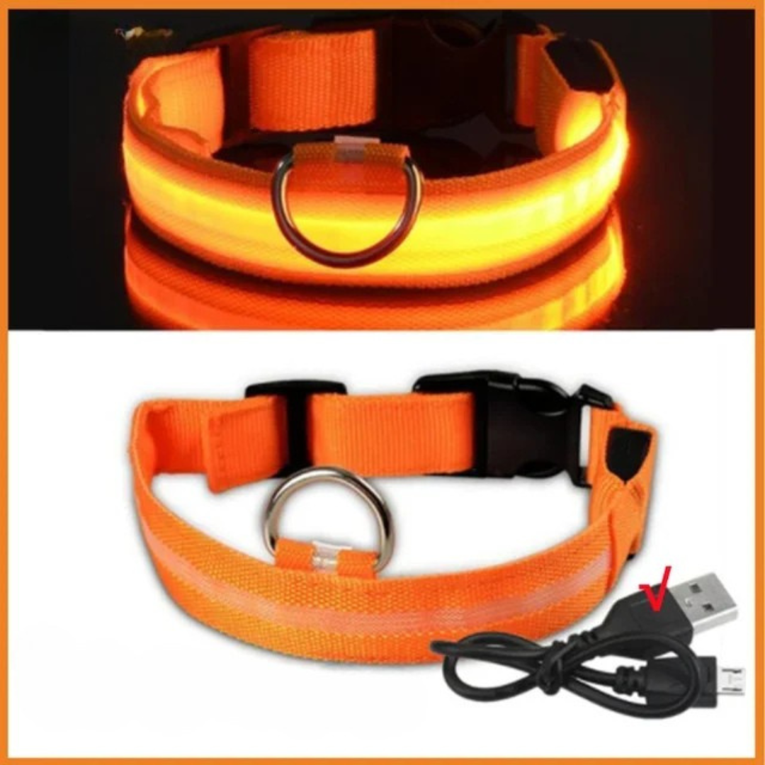 Wächterlicht Hundehalsband – LED, wasserdicht, verstellbar für alle Hundegrössen