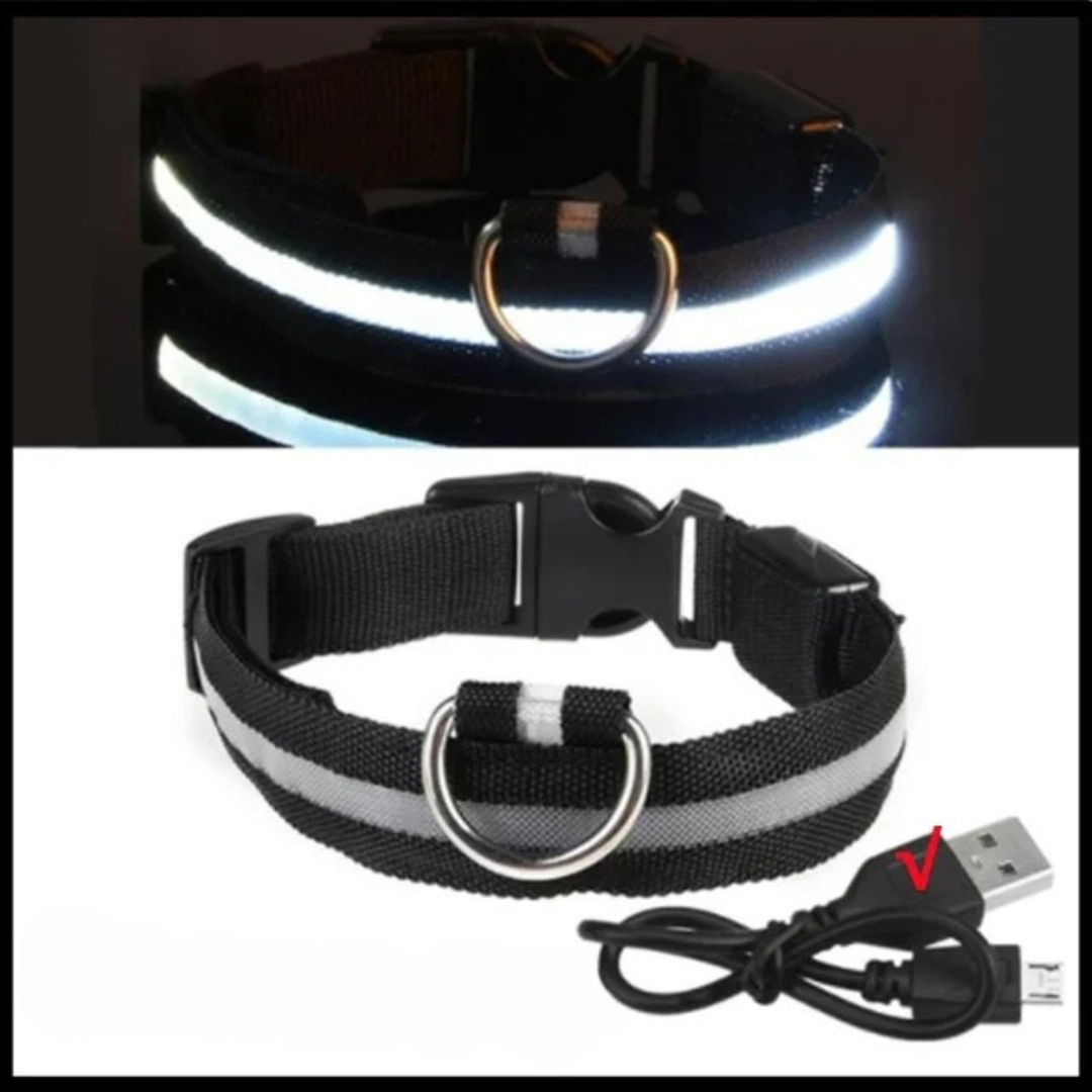 Wächterlicht Hundehalsband – LED, wasserdicht, verstellbar für alle Hundegrössen