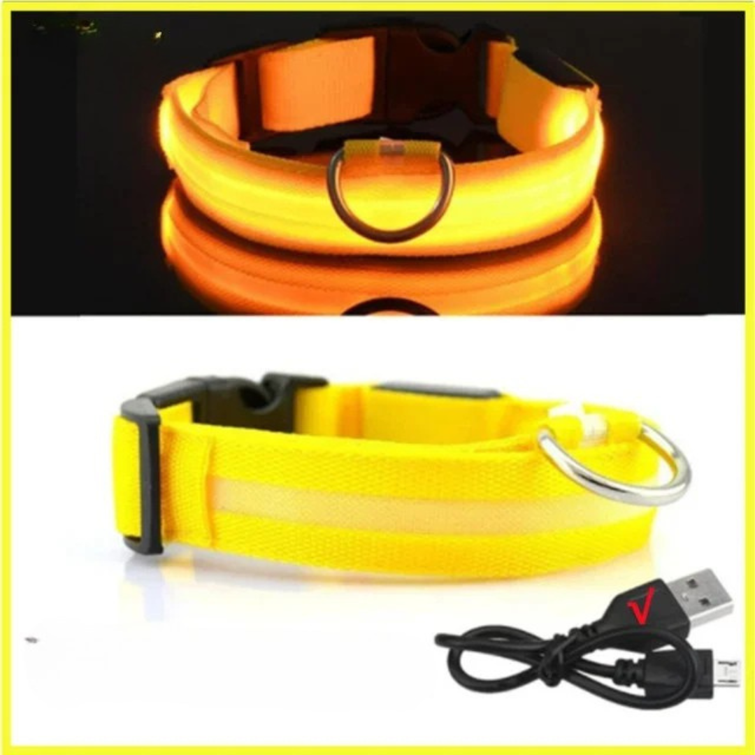 Hundehalsband – LED, wasserdicht, verstellbar für alle Hundegrössen
