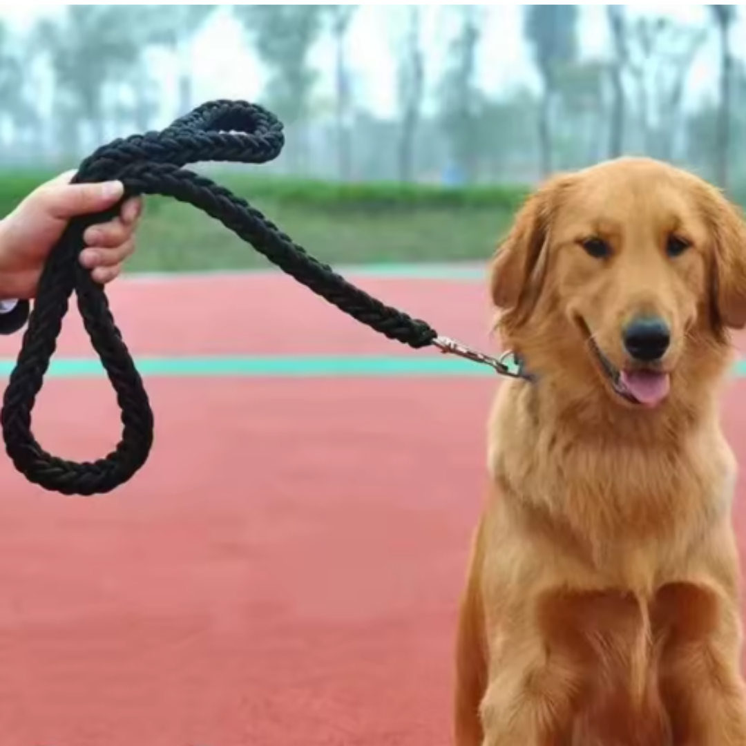 Bunox Hundeleine für starke Zieher – für Hunde von 8 bis 50 kg