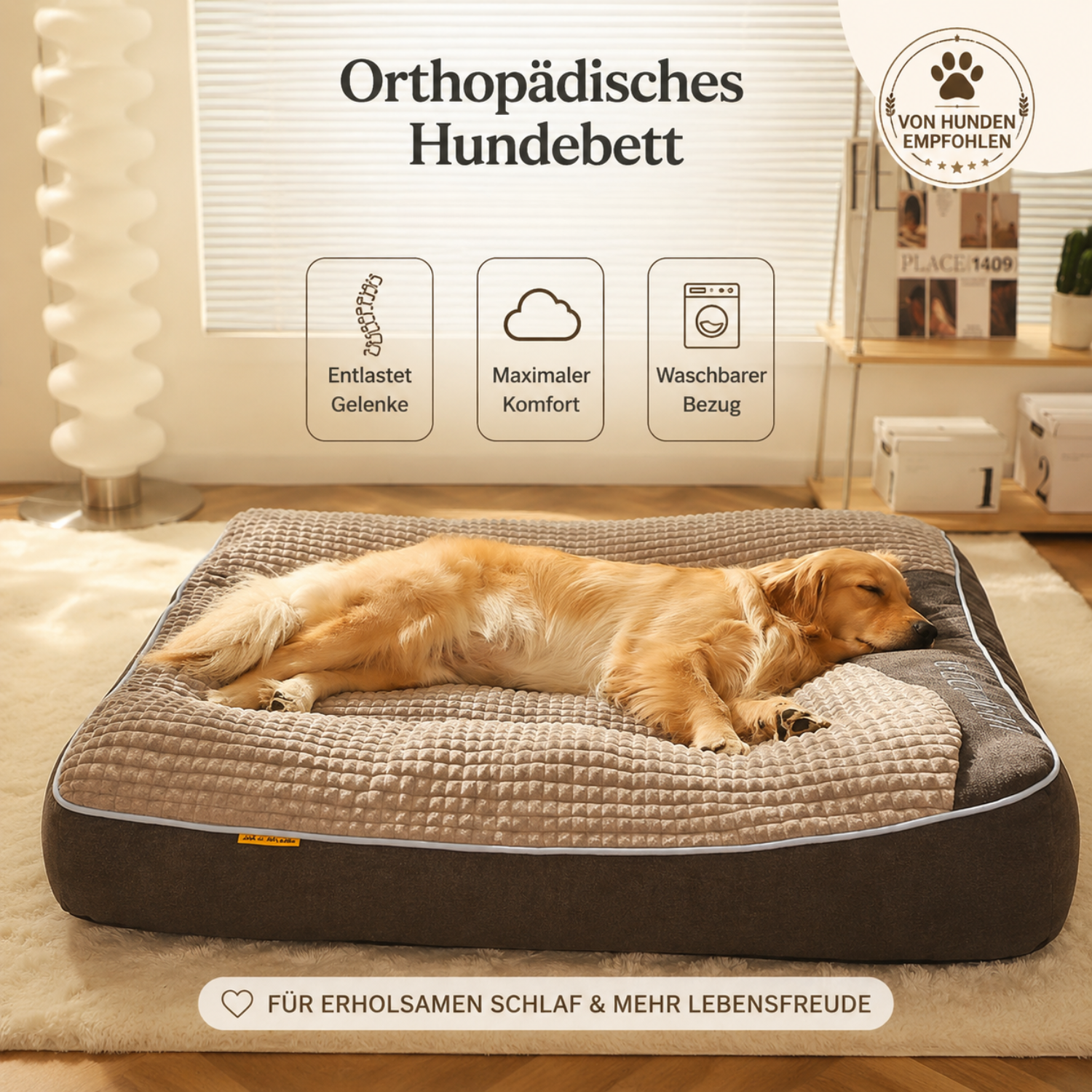 Sigmo – Das orthopädische Hundebett für mehr Lebensfreude