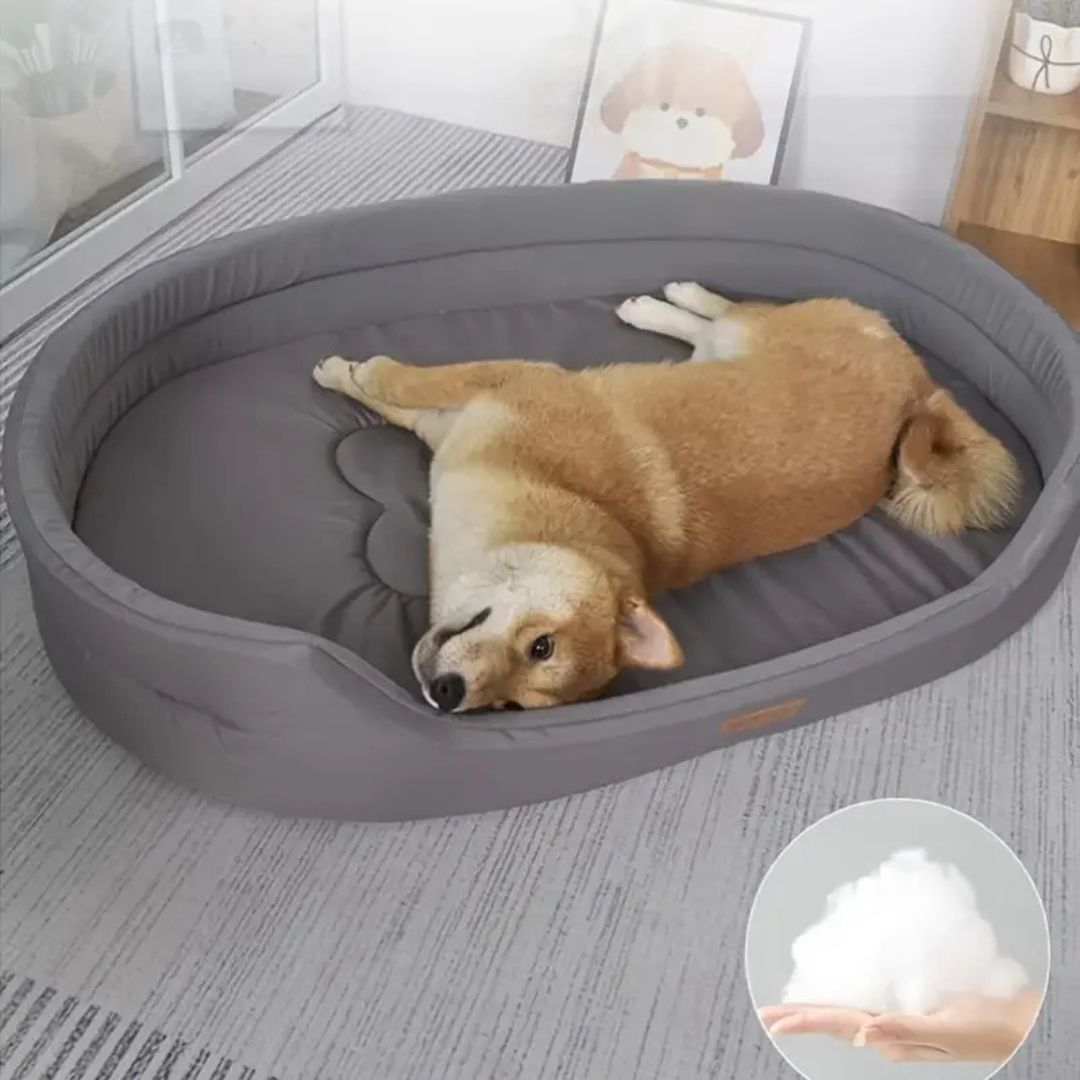 Fluffy – das Hundebett für Vierbeiner mit Ansprüchen