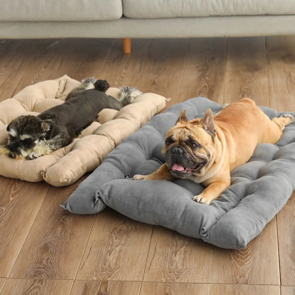 Chillounge – das Hundesofa für entspannte Stunden deines Vierbeiners