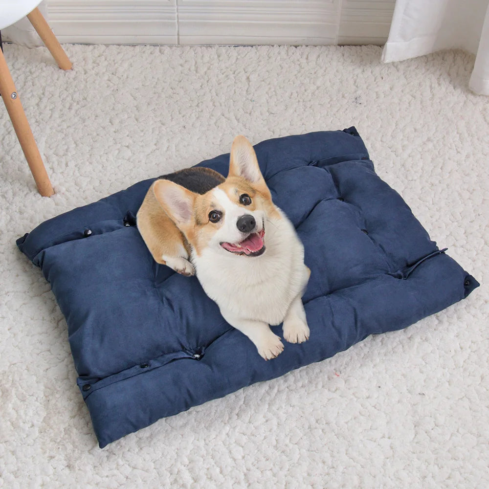 Chillounge – das Hundesofa für entspannte Stunden deines Vierbeiners