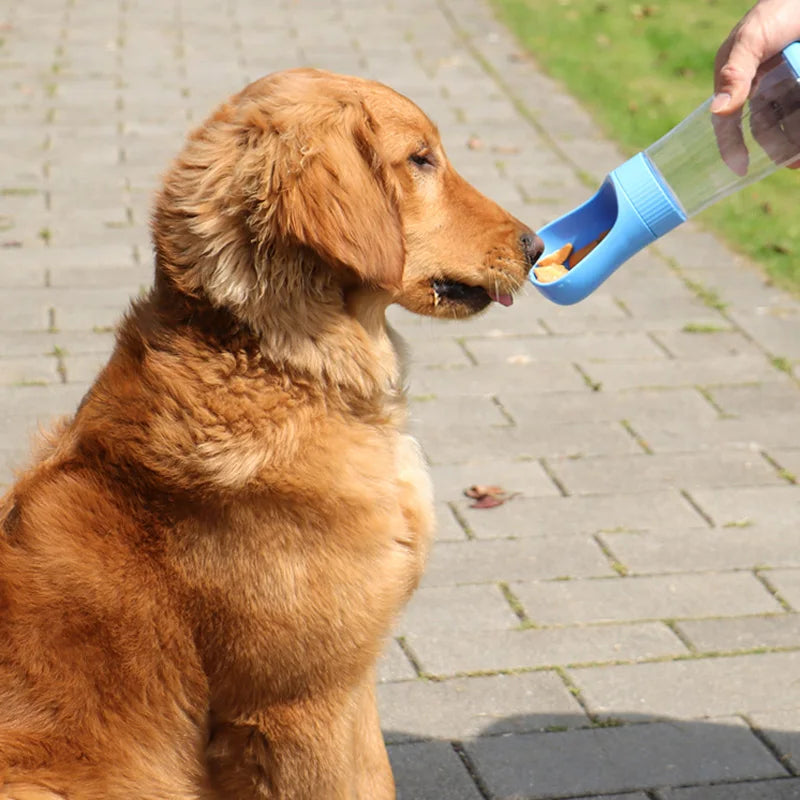 DogBottle – Praktische Trinkflasche für unterwegs