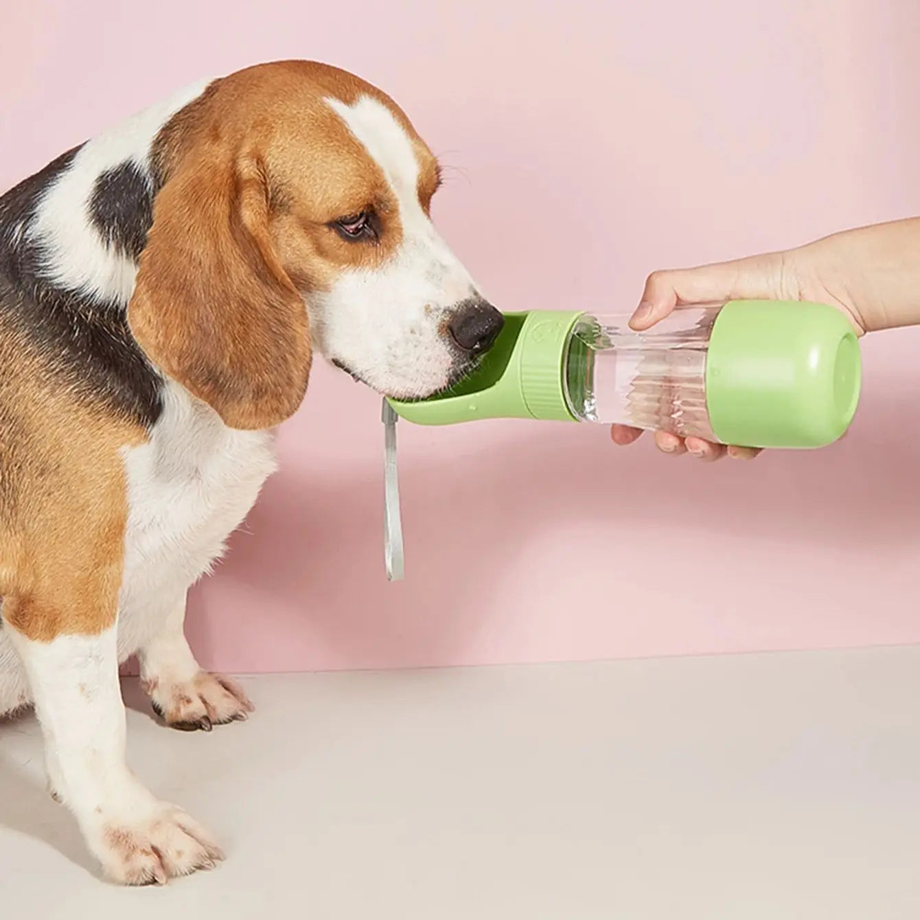 DogBottle – Praktische Trinkflasche für unterwegs