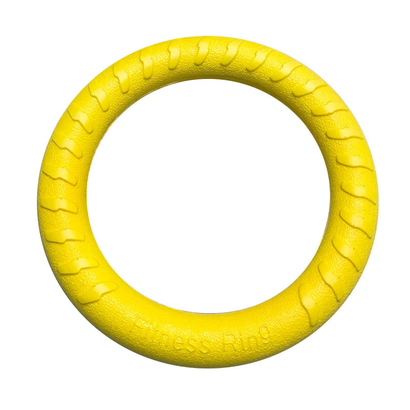 Wurf-Ring – Für Spiel & Training