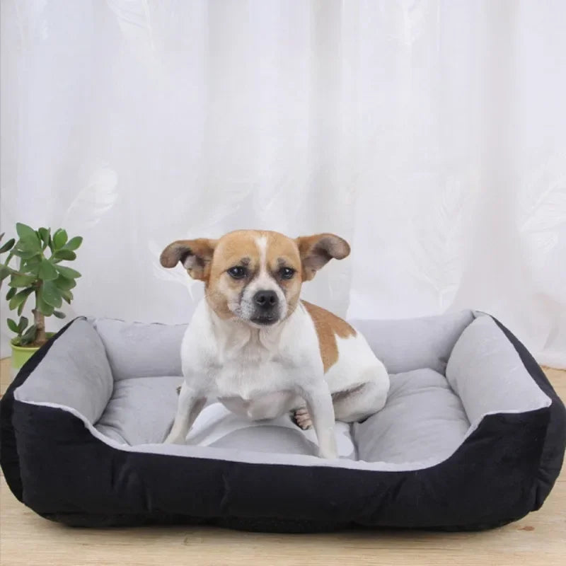Lenno – Das Hundebett für gemütliche Träume