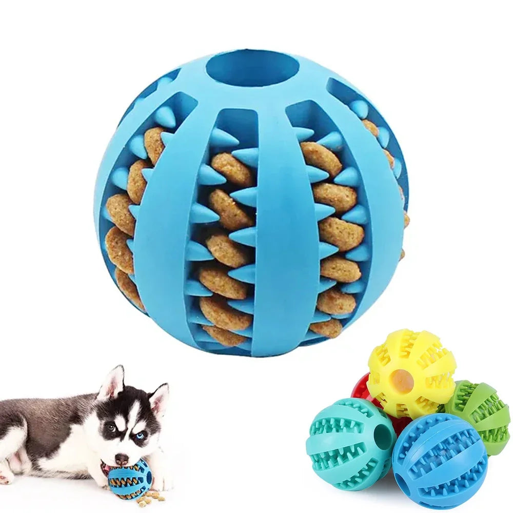 Snackball für spielerische Beschäftigung