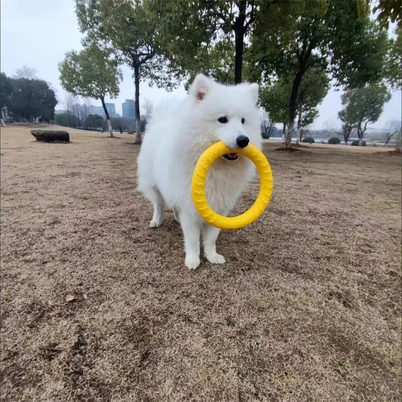 Wurf-Ring – Für Spiel & Training