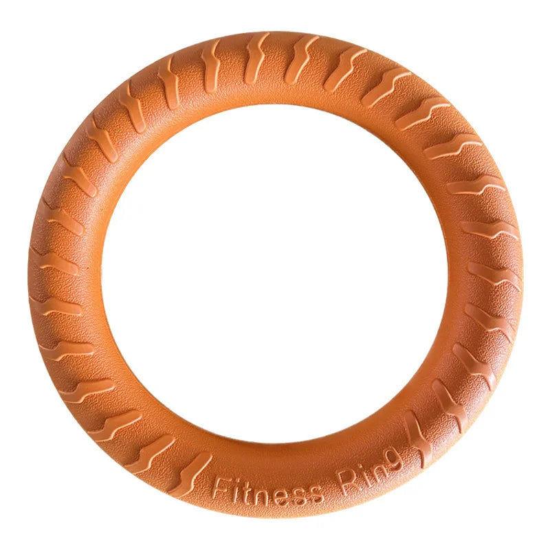Wurf-Ring – Für Spiel & Training