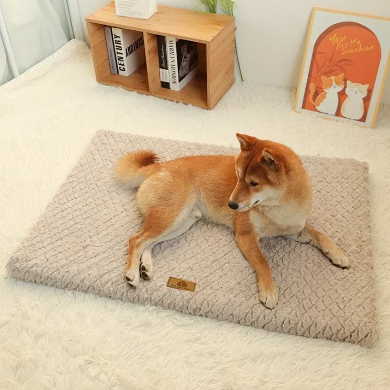 Komfy – für entspanntes Ausruhen überall