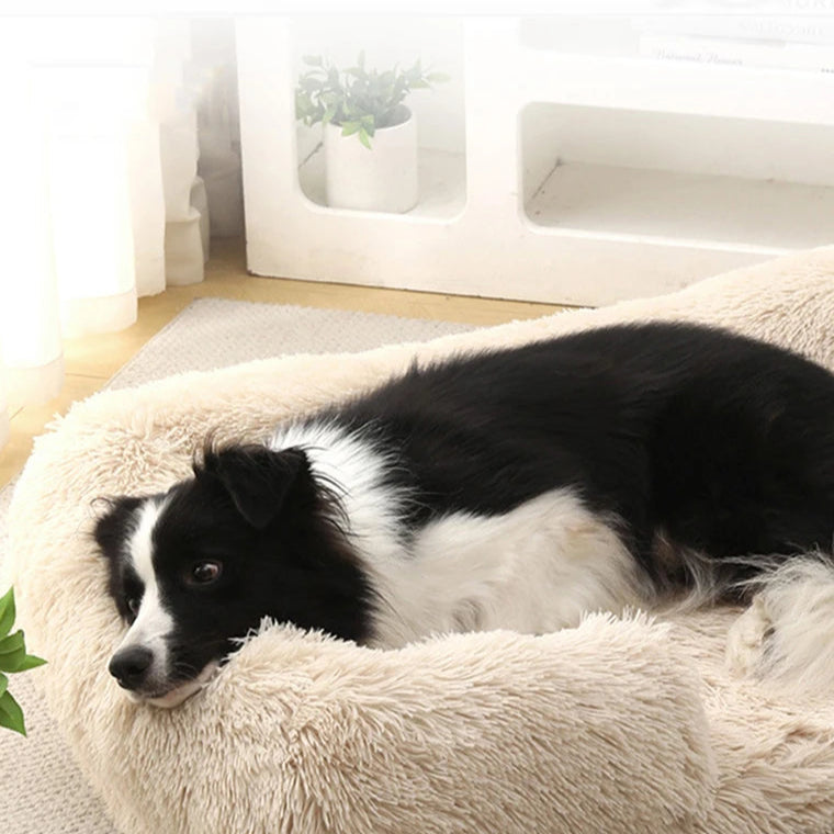 Kuwo – das Hundebett für süsse Träume