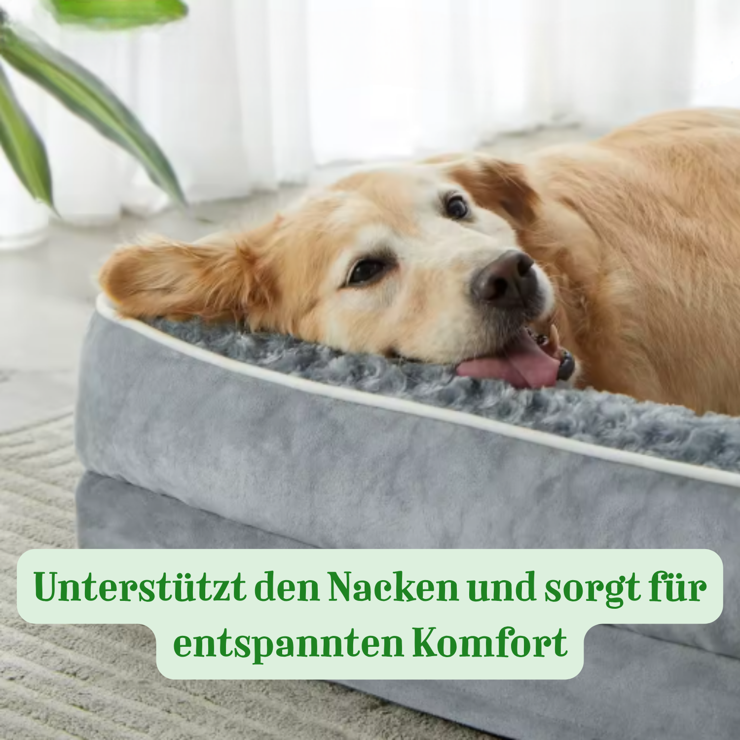 Bellas orthopädisches Kuschelnest