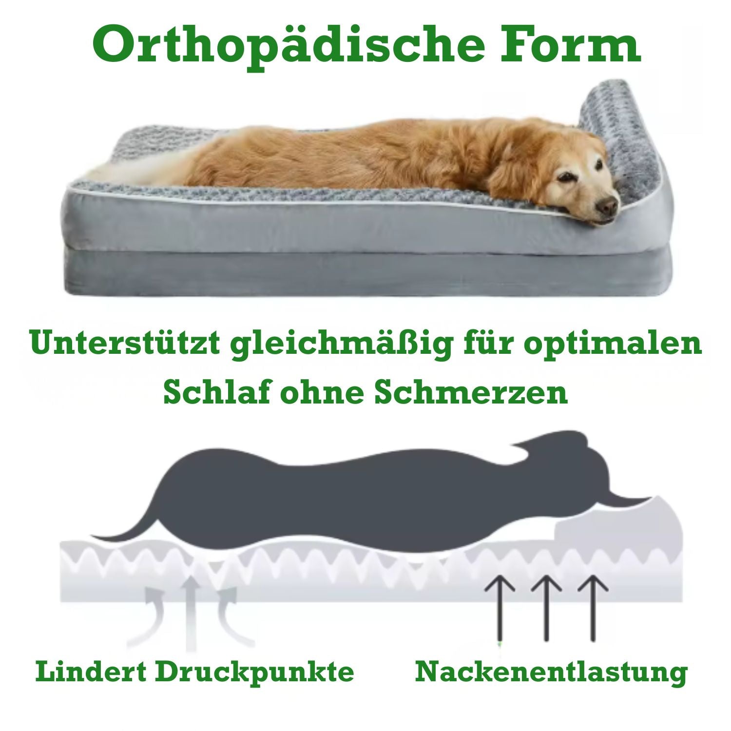 Bellas orthopädisches Kuschelnest