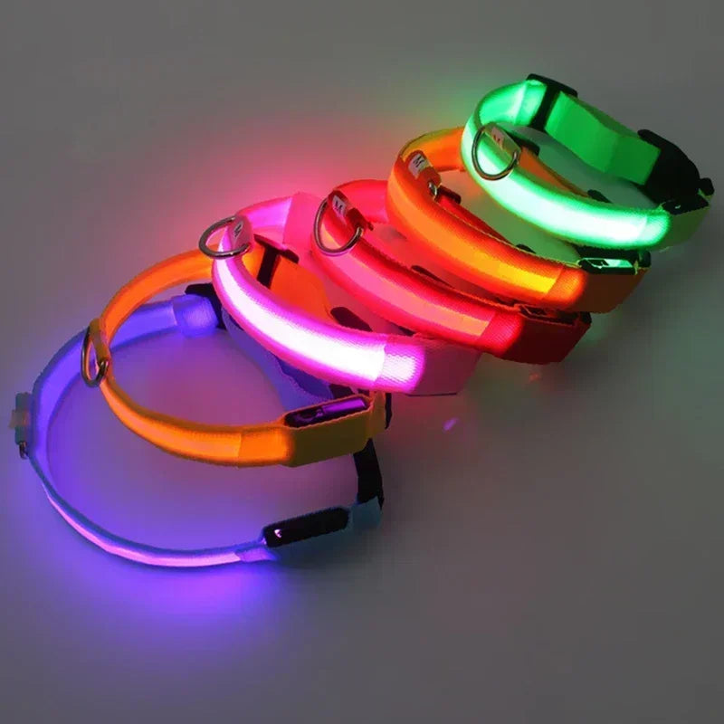 Hundehalsband – LED, wasserdicht, verstellbar für alle Hundegrössen