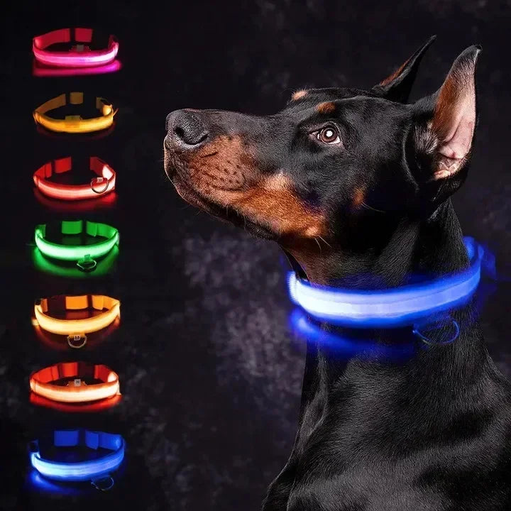 Hundehalsband – LED, wasserdicht, verstellbar für alle Hundegrössen