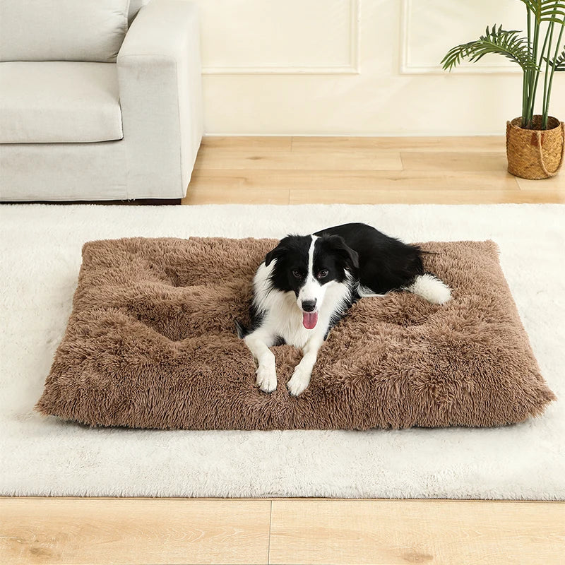 Limo – Das Hundebett für bequemes entspannen