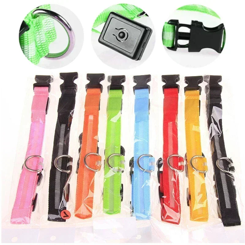 Hundehalsband – LED, wasserdicht, verstellbar für alle Hundegrössen
