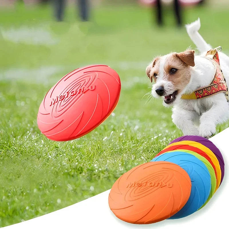 FlyBuddy – Dein Hund wird es lieben