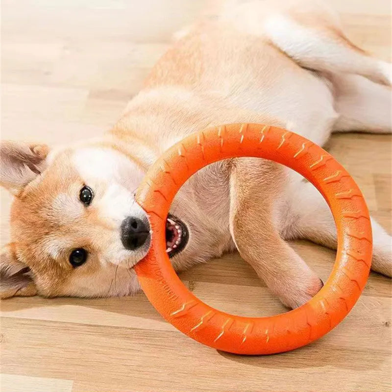 Wurf-Ring – Für Spiel & Training