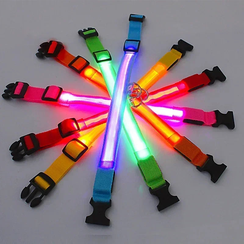 Hundehalsband – LED, wasserdicht, verstellbar für alle Hundegrössen