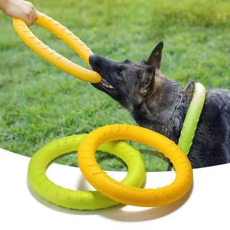 Wurf-Ring – Für Spiel & Training