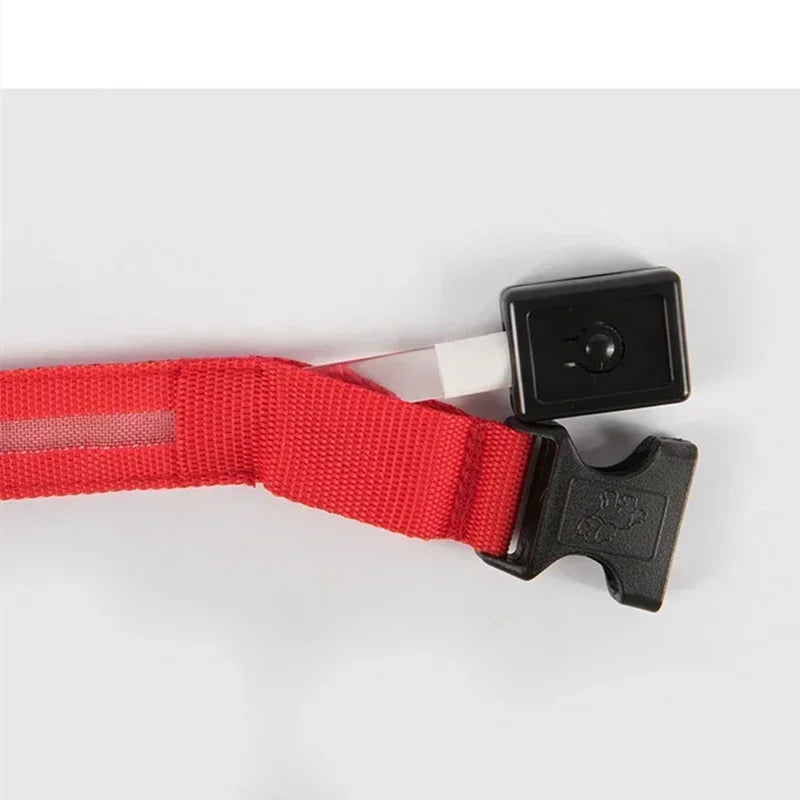 Hundehalsband – LED, wasserdicht, verstellbar für alle Hundegrössen